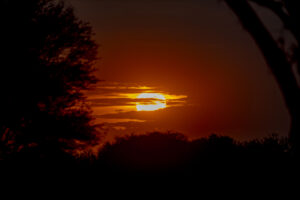 SUN DOWN